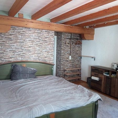 See- Und Altstadthaeusle - Alles Direkt Vor Der Haustuer - Bodenseeufer Natur Altstadt Bahnhof Bora-Sauna - Klein Und Super Zentral Zum See Oepnv Stadt Natur Etc - Appartement Historica Radolfzell am Bodensee Exteriér fotografie