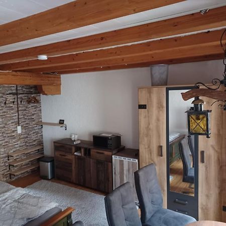 See- Und Altstadthaeusle - Alles Direkt Vor Der Haustuer - Bodenseeufer Natur Altstadt Bahnhof Bora-Sauna - Klein Und Super Zentral Zum See Oepnv Stadt Natur Etc - Appartement Historica Radolfzell am Bodensee Exteriér fotografie