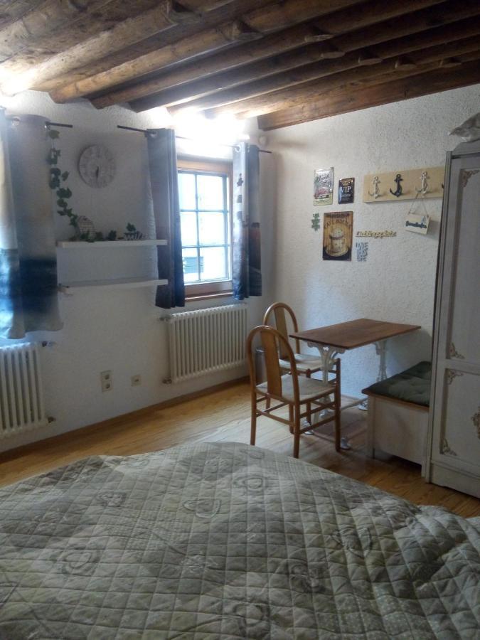 See- Und Altstadthaeusle - Alles Direkt Vor Der Haustuer - Bodenseeufer Natur Altstadt Bahnhof Bora-Sauna - Klein Und Super Zentral Zum See Oepnv Stadt Natur Etc - Appartement Historica Radolfzell am Bodensee Exteriér fotografie